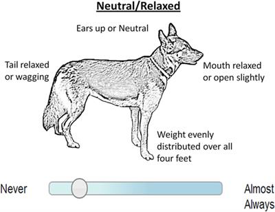 Application of Survival Analysis and Multistate Modeling to Understand Animal Behavior: Examples from <mark class="highlighted">Guide Dogs</mark>